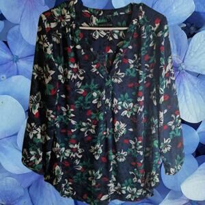 Adrienne Vittadini Lg long sleeve sheer blue, green, red polyester woman's top